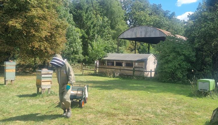 Wiltshire Bee and Honey Day