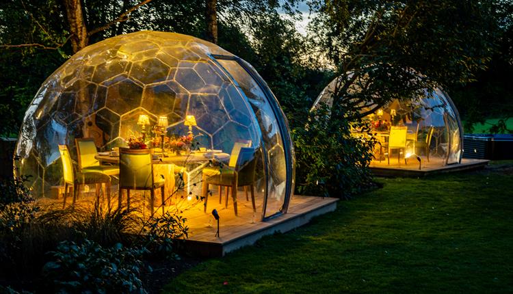 Festive Dining Igloos