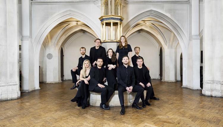 The Marian Consort - Seeing Through Sound