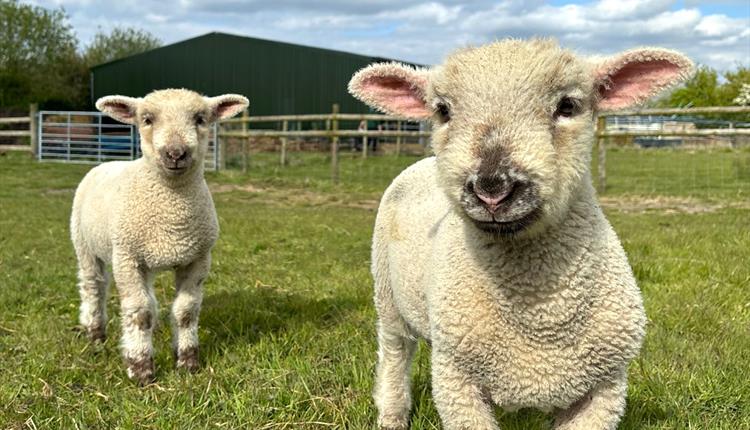 Studley Grange Garden & Leisure Park