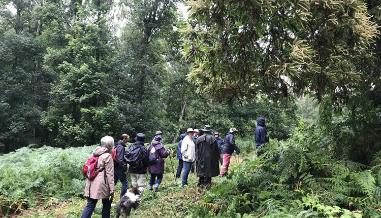 History Walk through the Bedwyn Brails