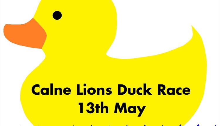 Calne Lions Duck Race