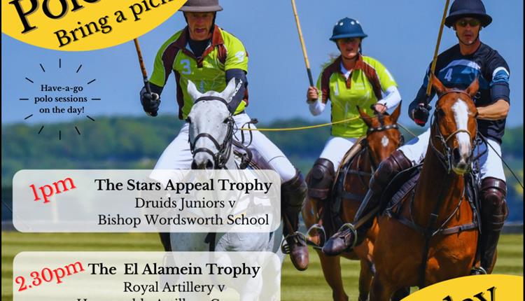 Stars Appeal Polo Picnic - Salisbury