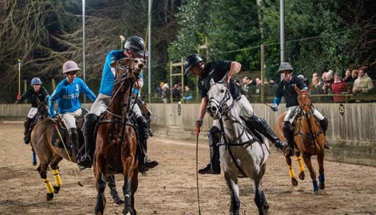 Druids Lode Fireside Arena Polo & Christmas Market