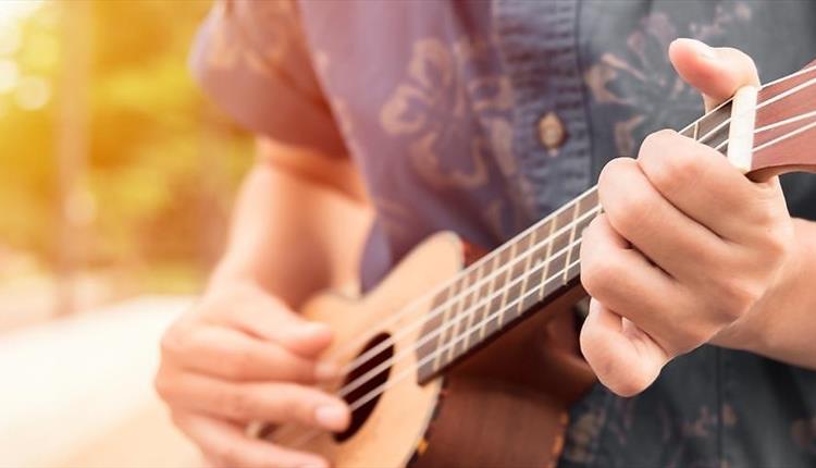 Fingerstyle Ukulele Workshop