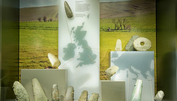 Neolithic Axe Display