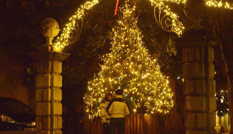 BOA Christmas Lights Switch-On