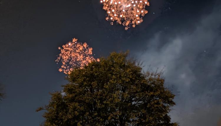 BOA Fireworks Display