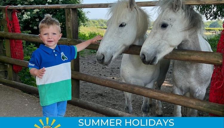 Summer Holidays Fun on the Farm!