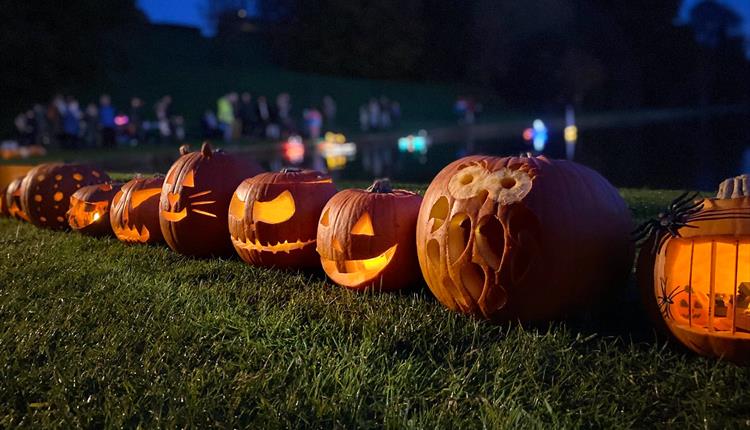 Pumpkins in the Park 2026