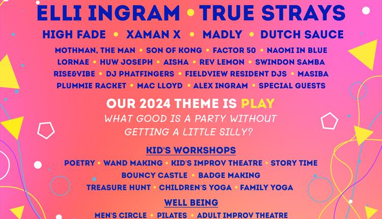 Fieldview Festival