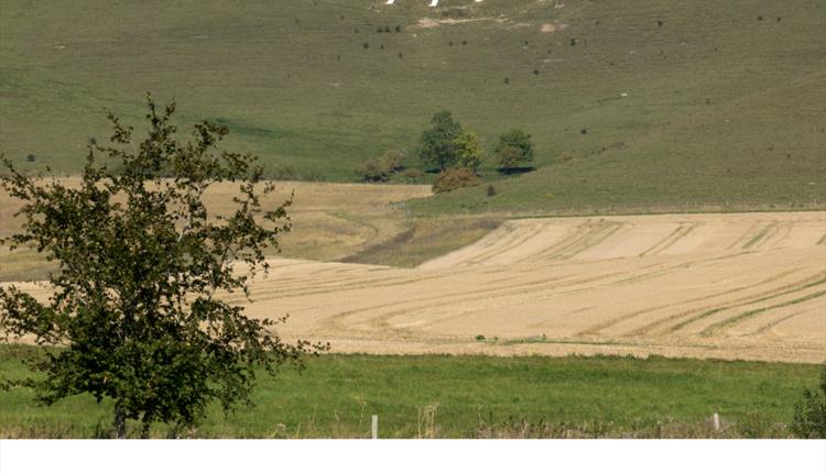 FREE Beginner Walk for Over 50s – Alton Barnes White Horse