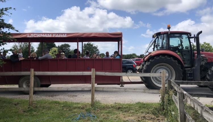 A Day on the Farm