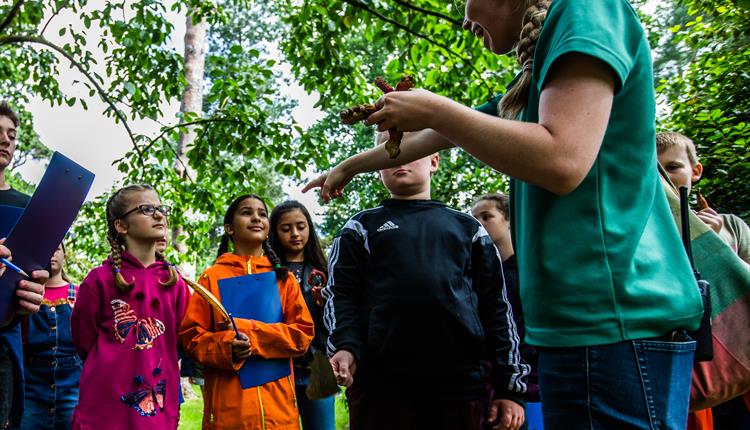 Arboretum Apprentice – Children's Summer Learning Series