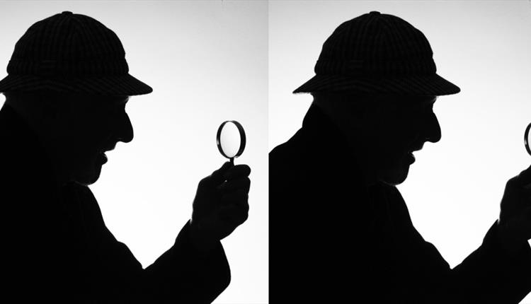 The Real Inspector Hound: A Comic Masterpiece by Tom Stoppard