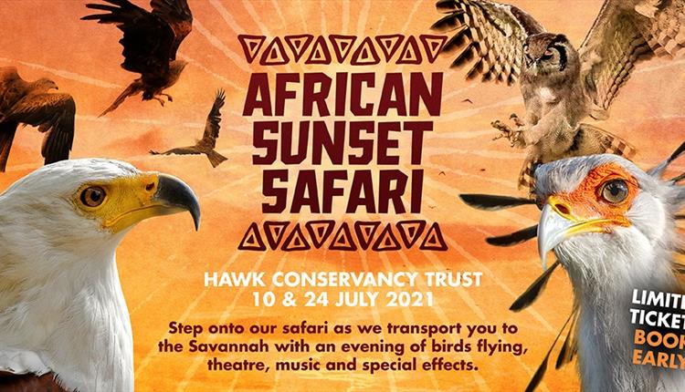 African Sunset Safari