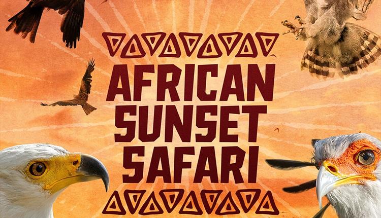 African Sunset Safari