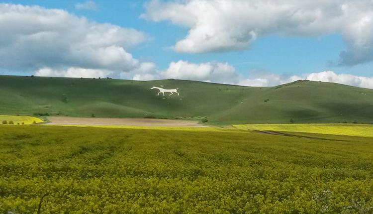 Alton Barnes White Horse, near Pewsey