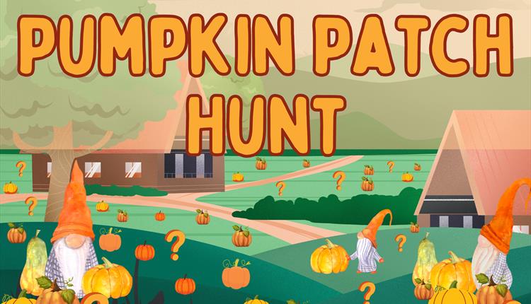 Pumpkin Patch Hunt