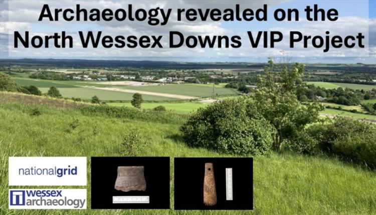 Free Talk: Archaeology Revealed on the North Wessex Downs VIP Product