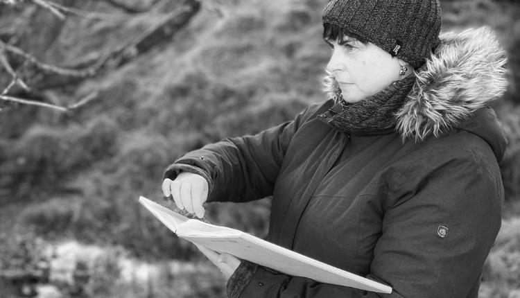 Artist Talk: Seen in the Trees with Tansy Lee Moir