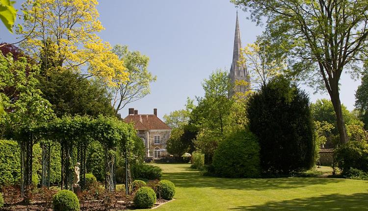 Garden with tree and Cathedral spire in background