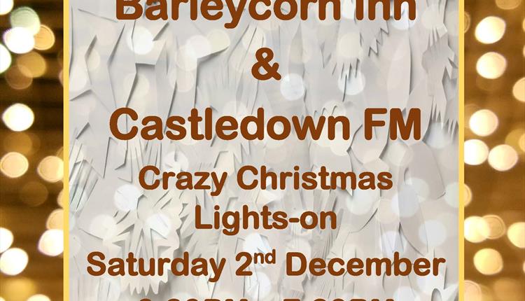 Crazy Christmas Lights-on