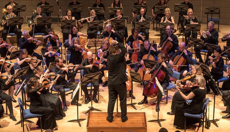 BATH SYMPHONY ORCHESTRA