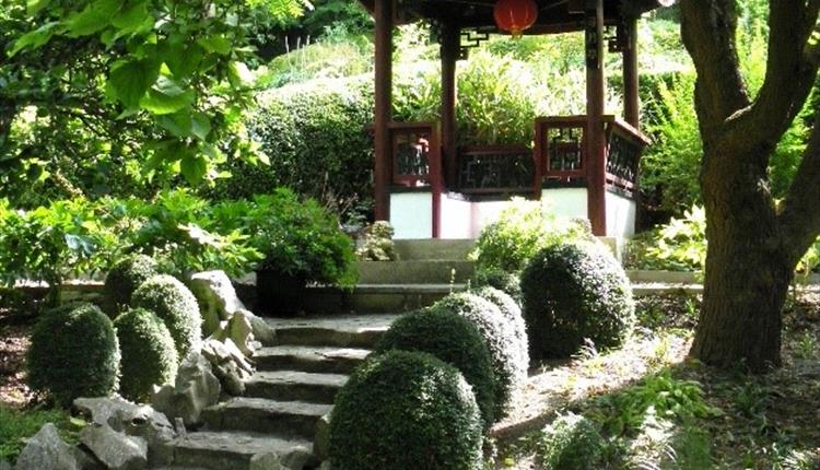 Garden Visit - Beggars Knoll