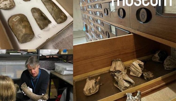 Behind the Scenes Tour