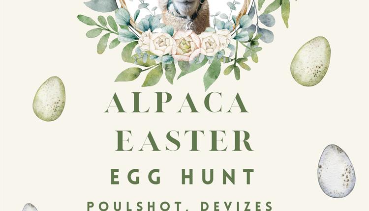 Alpaca Easter Egg hunt