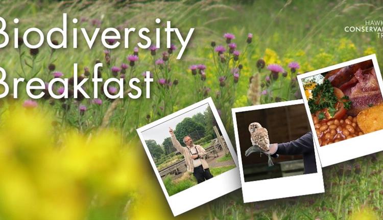 Biodiversity Breakfast
