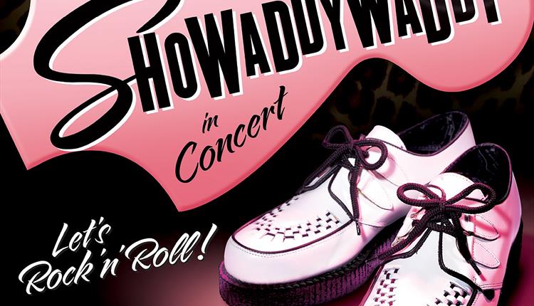Showaddywaddy