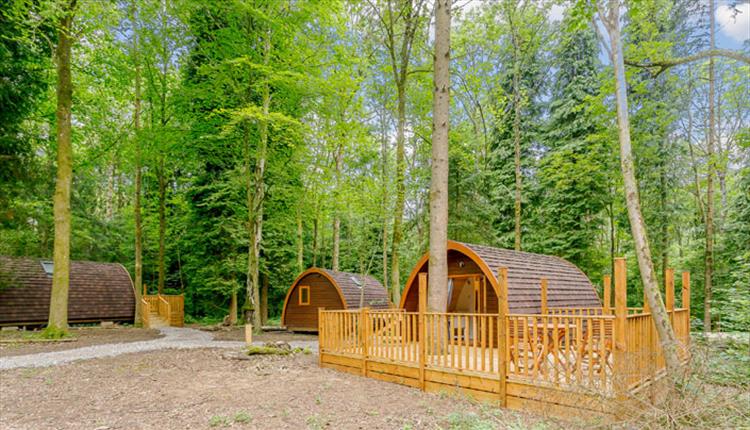 Brokerswood Holiday Park