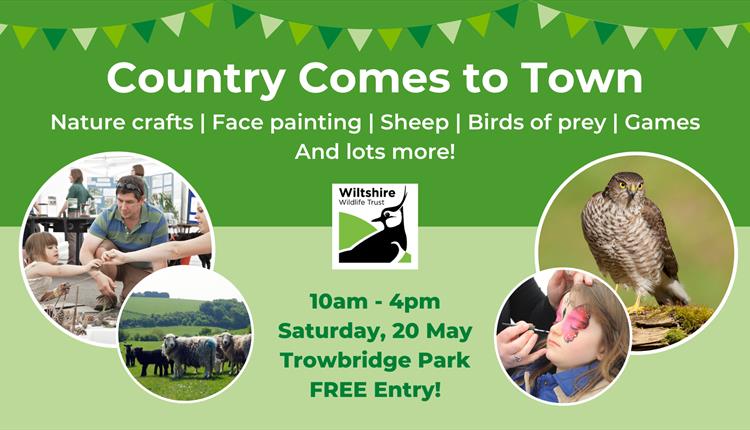 Country Comes to Town