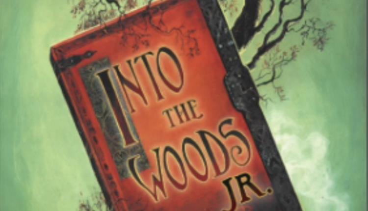 Stagecoach presents Into the Woods Jr