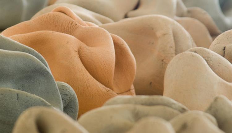 February Half Term Creative Activities, Exhibition Inspired