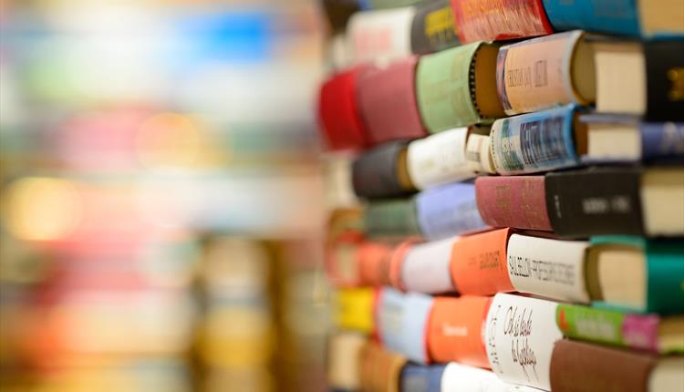 The Power of the Particular: Brief Lives Creative Writing Workshops