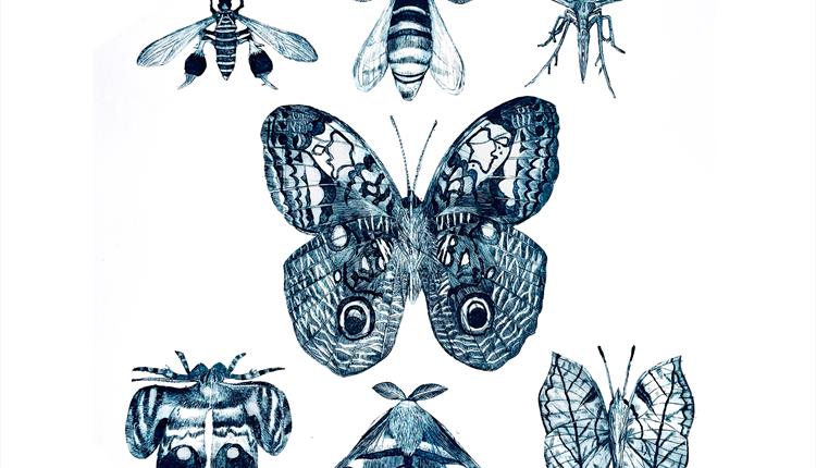 The Ethical Entomologist