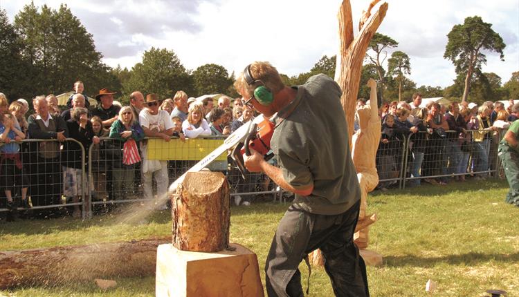 Wiltshire Game and Country Fair