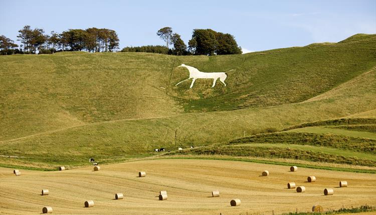 alton barnes white horse