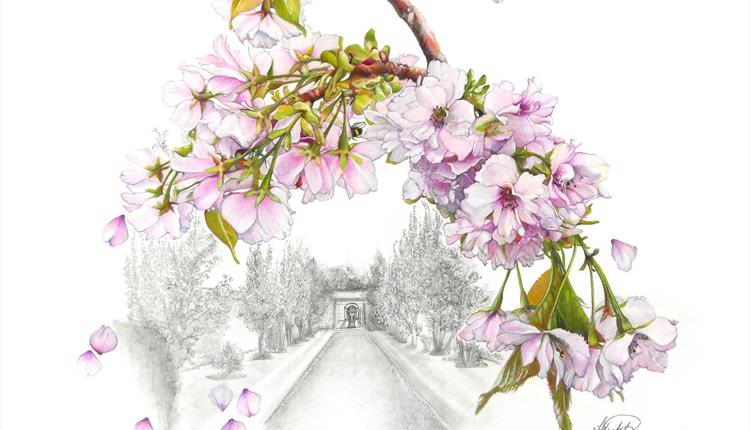 Garden Exhibition - 'The Lifecycle of Plants'