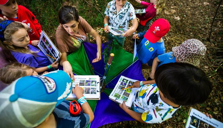 Woodland Wellbeing - family activity