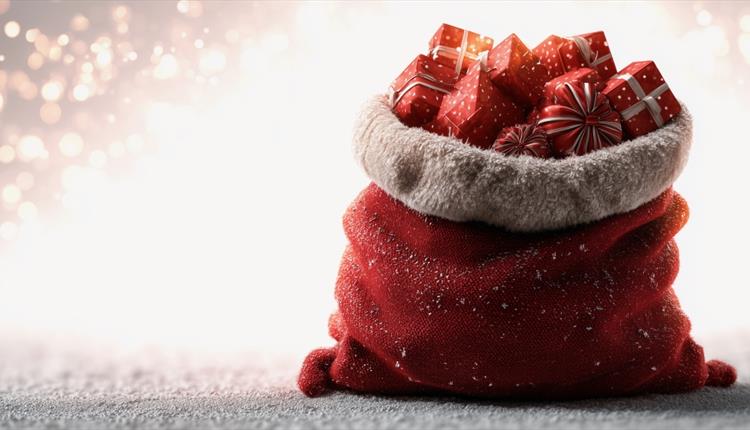 The Big Christmas Present Hunt