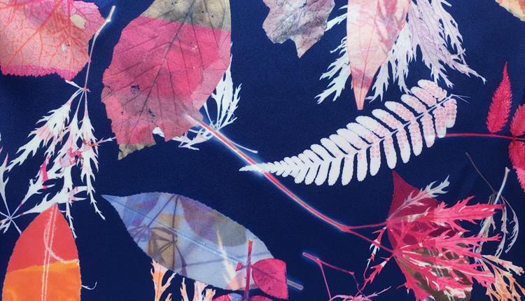 Printing with Leaves with Clare Walsh