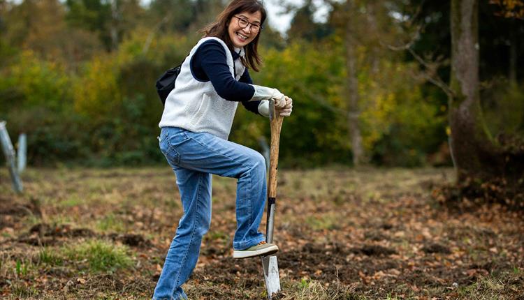 Community Woodland Public Volunteering Day - Westonbirt