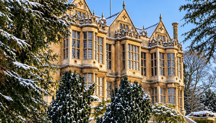 Christmas Guided Tours
