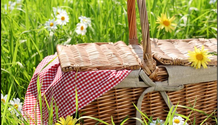 Parent & Child - Picnic class