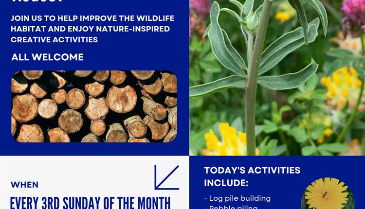 King Charles Sensory Garden Day