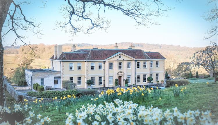 Fonthill House Charity Garden Opening